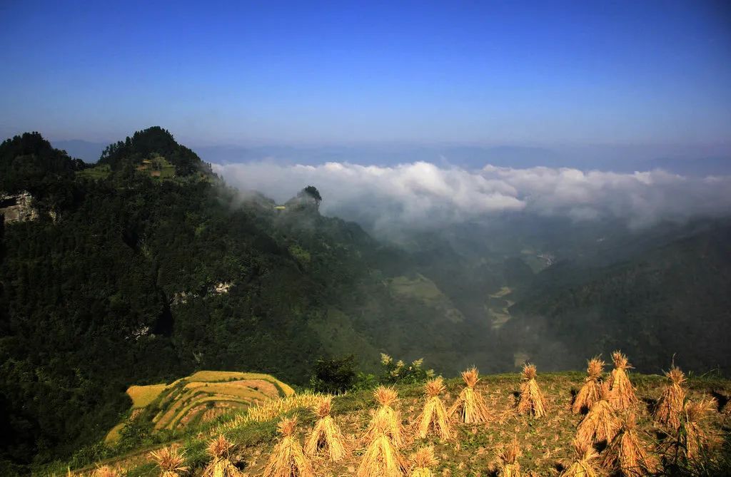 山峰陡峭,悬崖绝壁多;巴蒿河西南面主要以植被覆盖,平坦区块较多