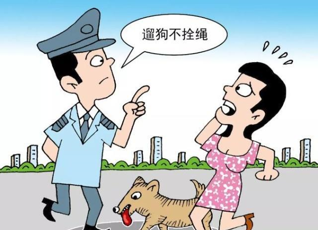 "武松打狗"有惊无险 养狗治理不能有侥幸的短板