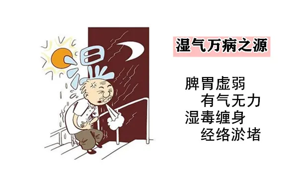 大白话说中医第一百五十九期|湿邪潜藏时日久,判断胃病必细究__凤凰网