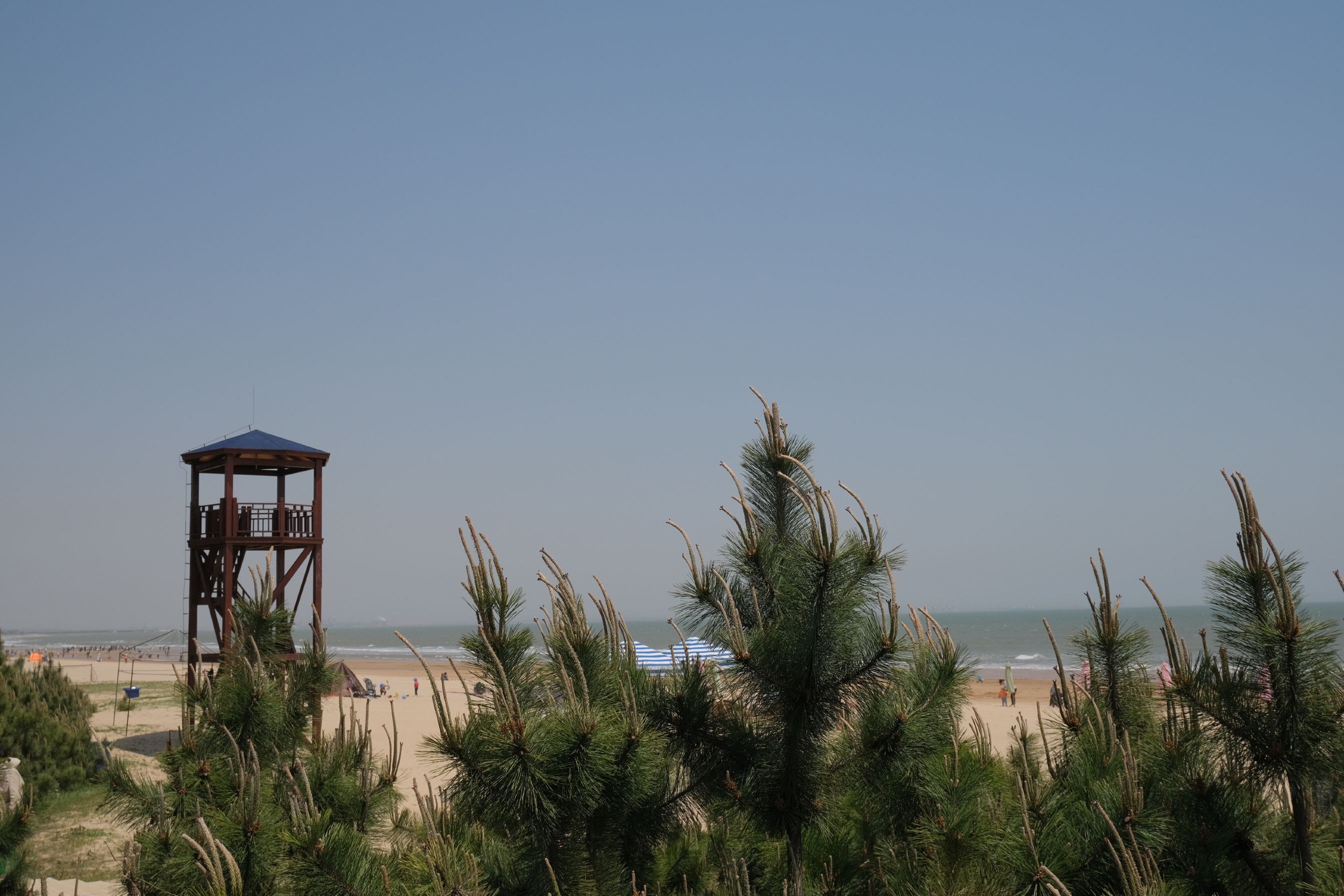 日照2021游玩攻略,最新最强游玩打卡注意事项合集