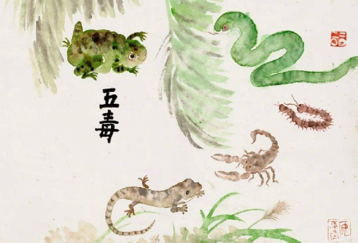 壁虎有什么可怕之处?被古人列为“五毒”之一_凤凰网