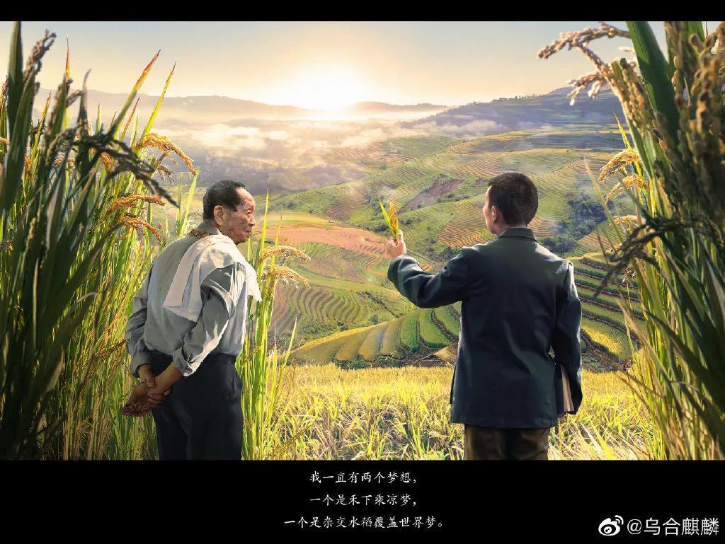 孟晚舟回家,乌合麒麟再出神作!太绝了全是细节!