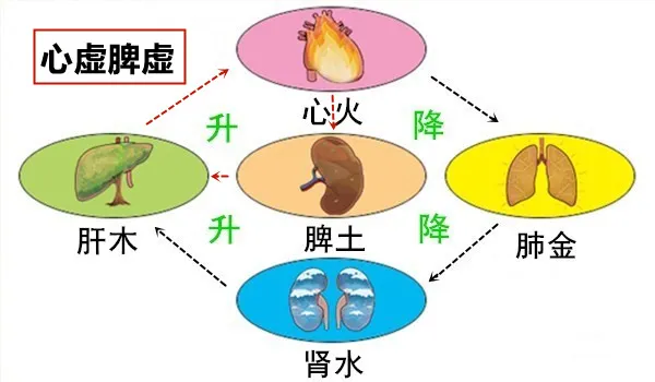 大白话说中医第一百七十八期|心思多虑转伤脾，心脾同虚病愈急__凤凰网
