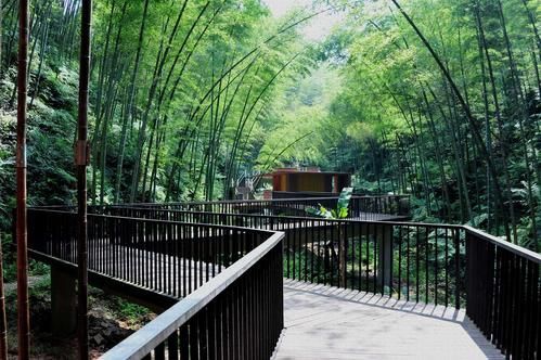 日照三天三夜旅游攻略，交通景点日照美食小吃和海鲜去哪里