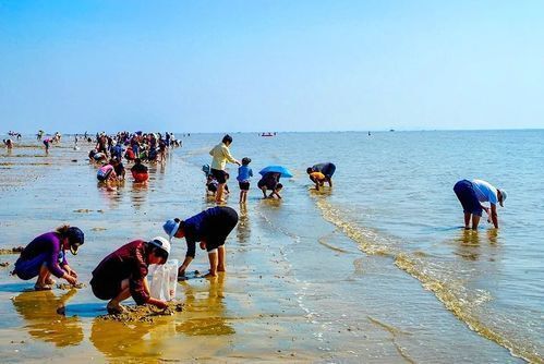 日照旅游攻略，适合晚上玩的景点，海边哪里好，吃海鲜去哪里