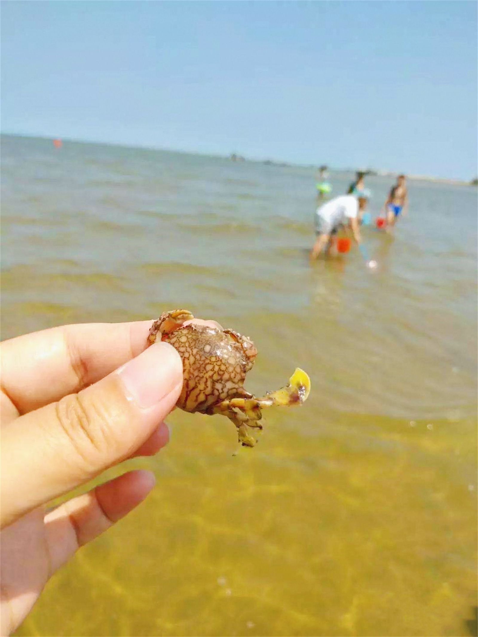 日照假期旅游，适合情侣亲子和学生党，海边看海