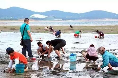 日照游记，四人三天两夜旅行攻略