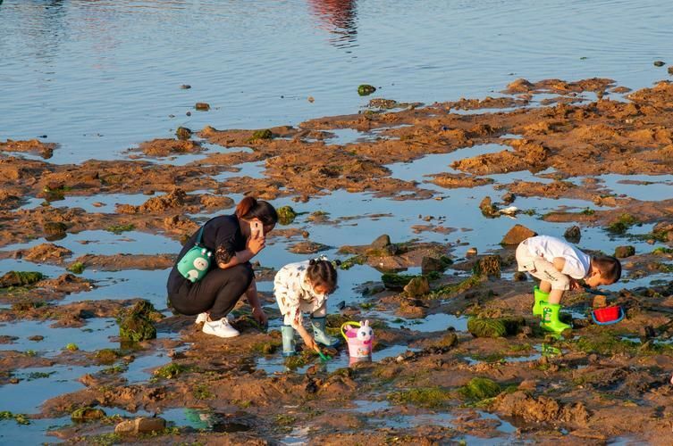 日照刘家湾赶海园旅游攻略，适合亲子游