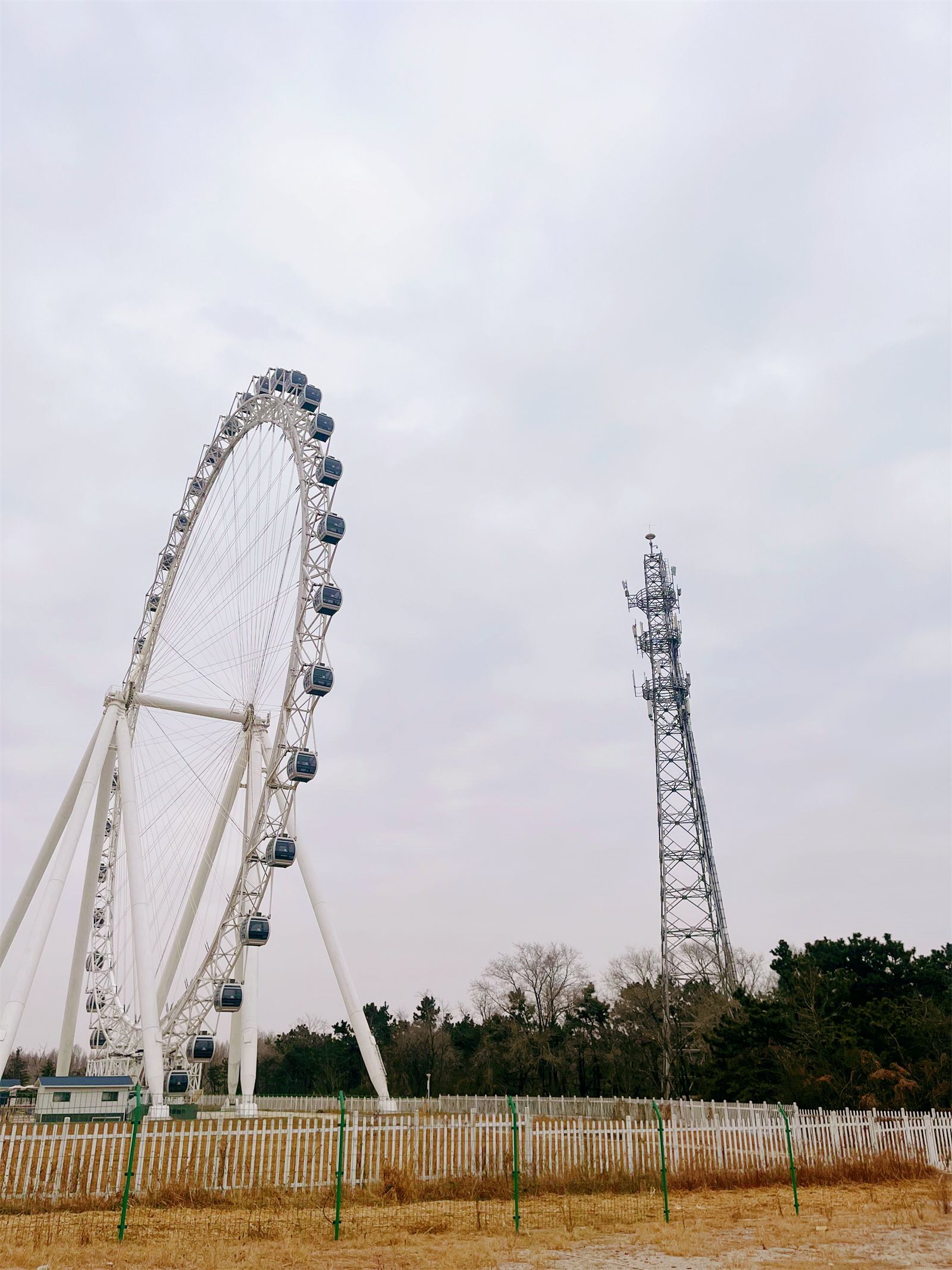 日照旅游攻略，三天假期这样玩