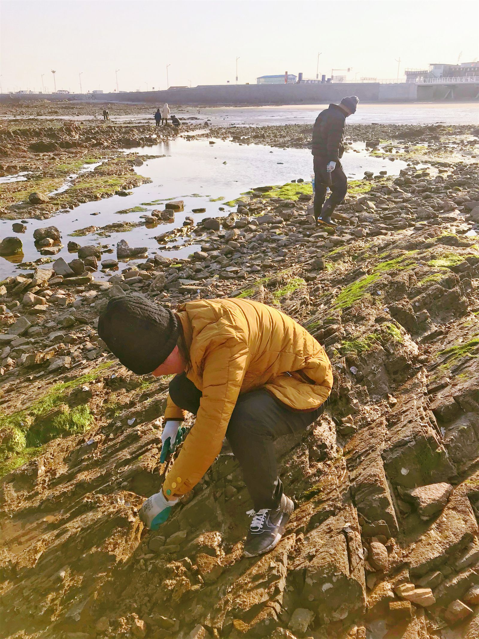 刘家湾赶海园，日照亲子旅游攻略