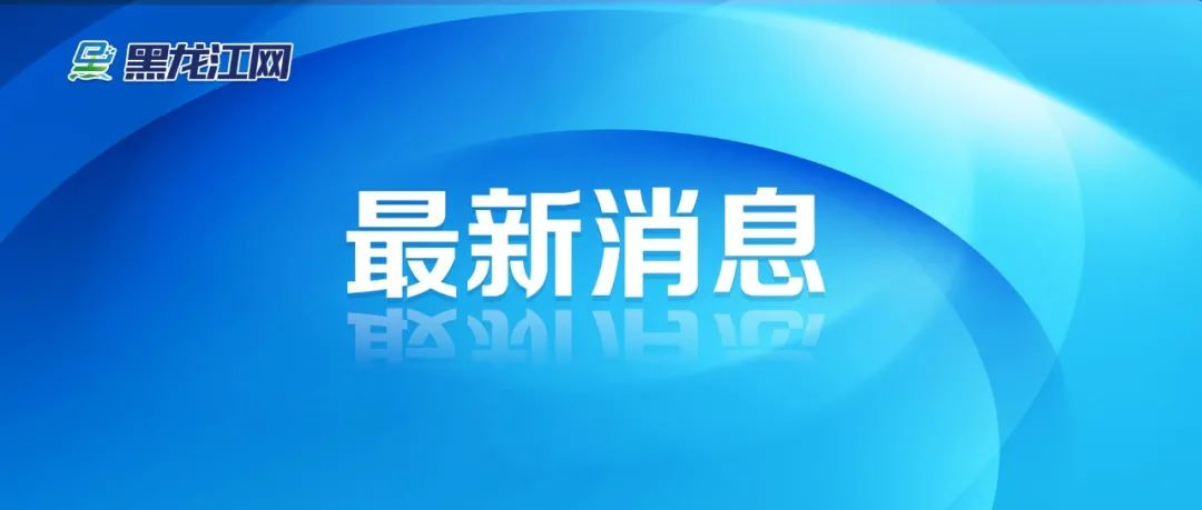 黑龙江新媒体集团政府网站无障碍阅读技术实现新突破