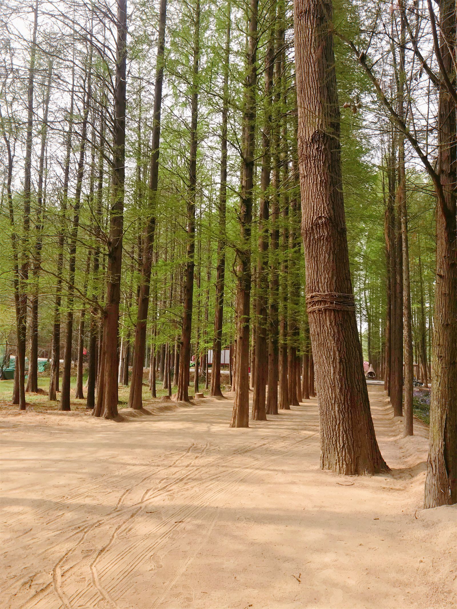 在日照来一场温柔而又畅快的旅行吧,日照旅游攻略