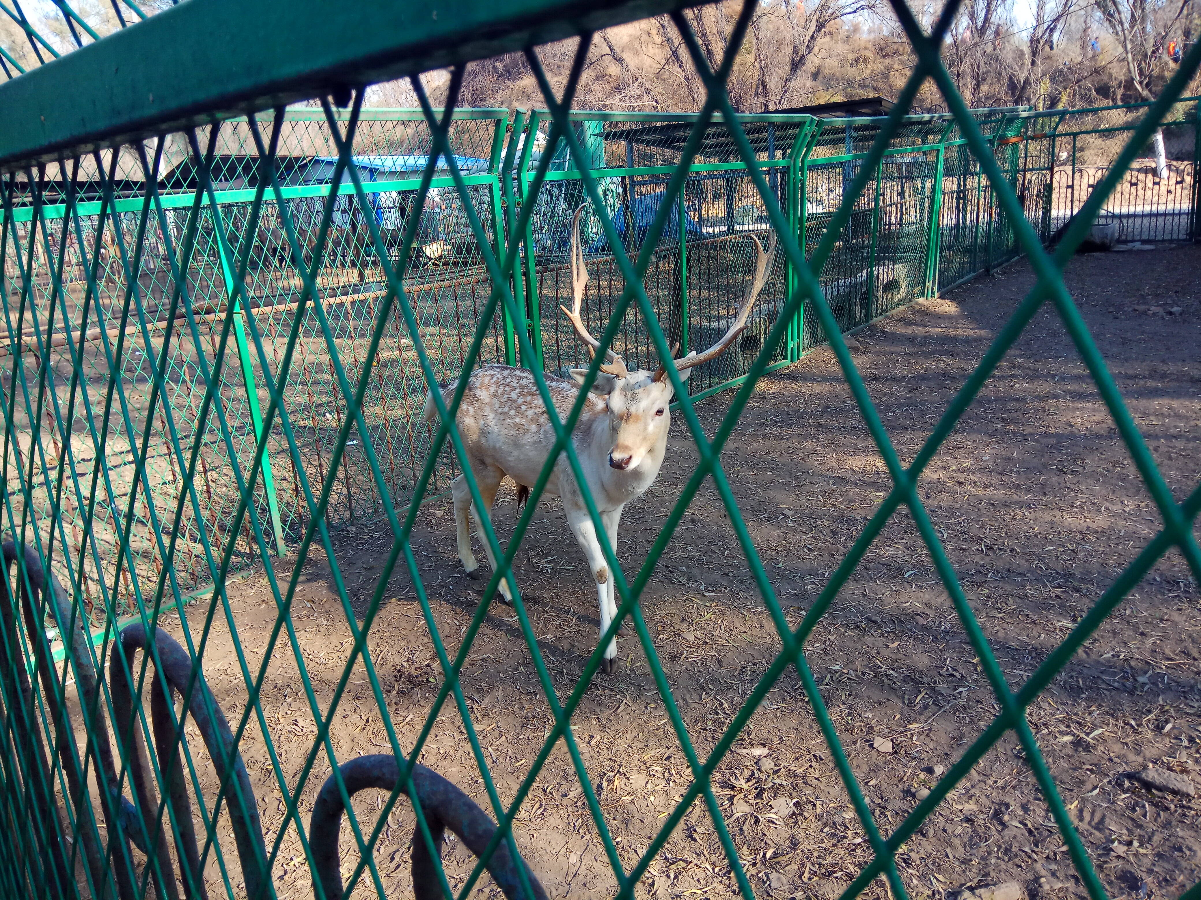 走进临汾动物园 与动物们零距离