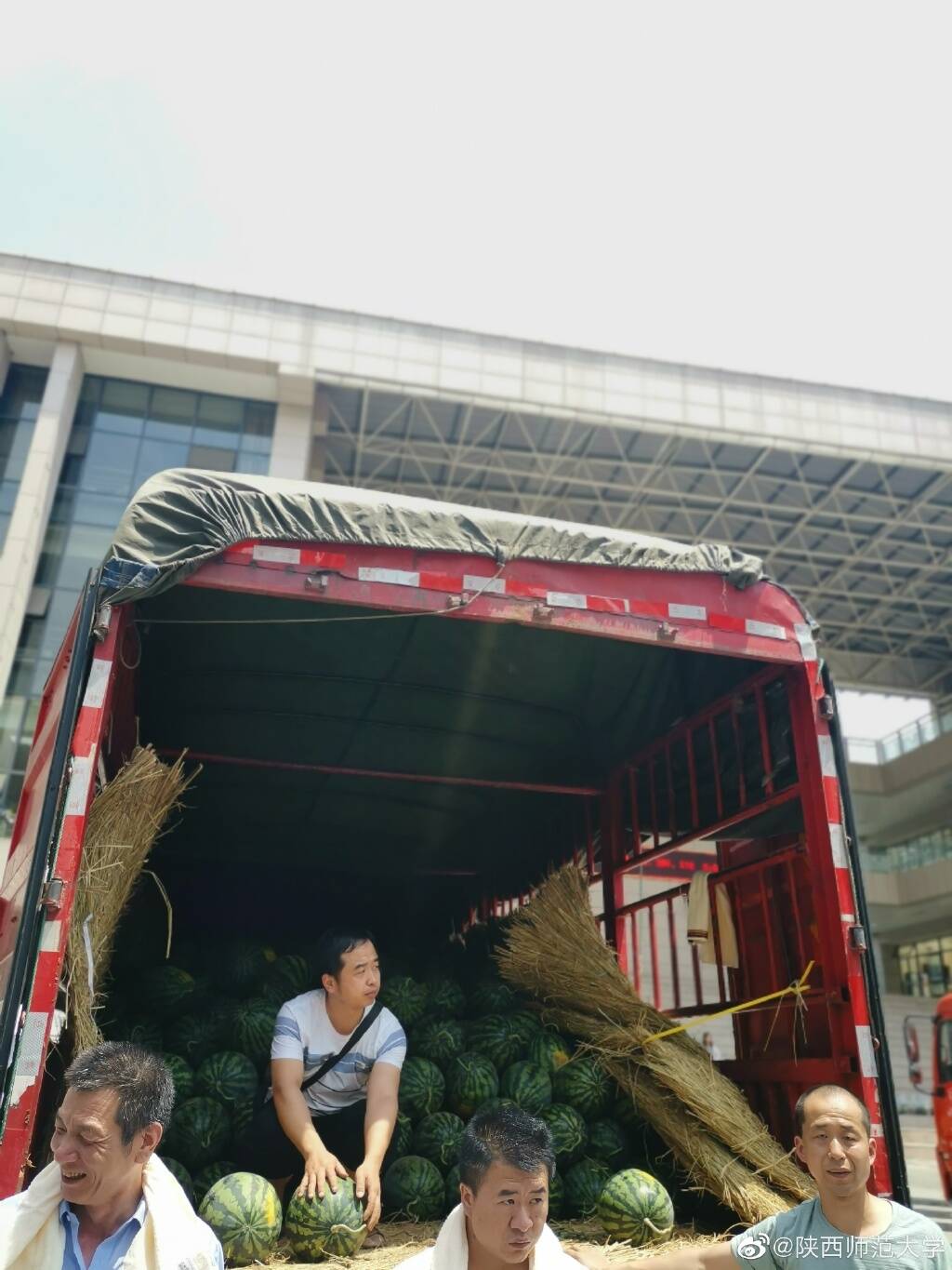 "陕西吃瓜大学" 3大卡车西瓜免费吃
