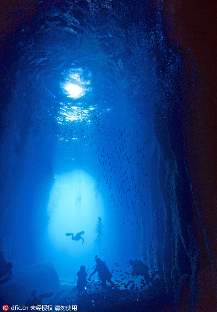 潜水教练探秘水下洞穴 捕捉震撼美景