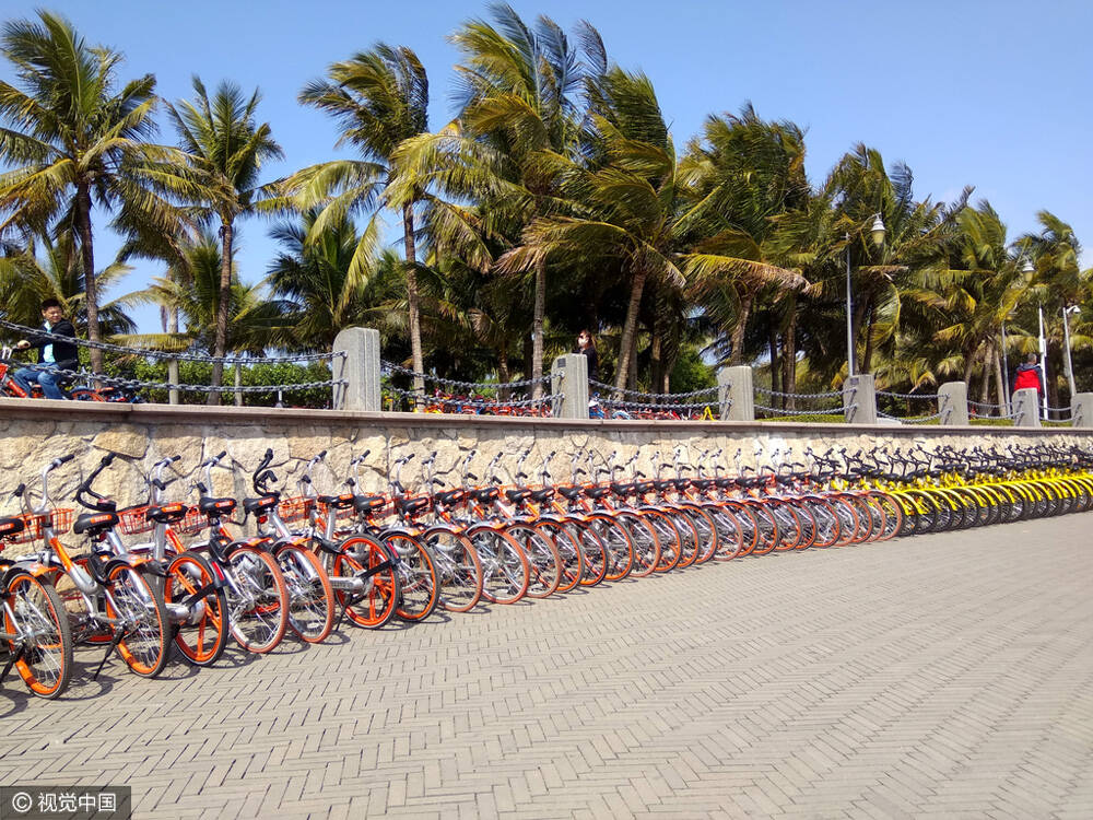 深圳可以骑单车的公园图片