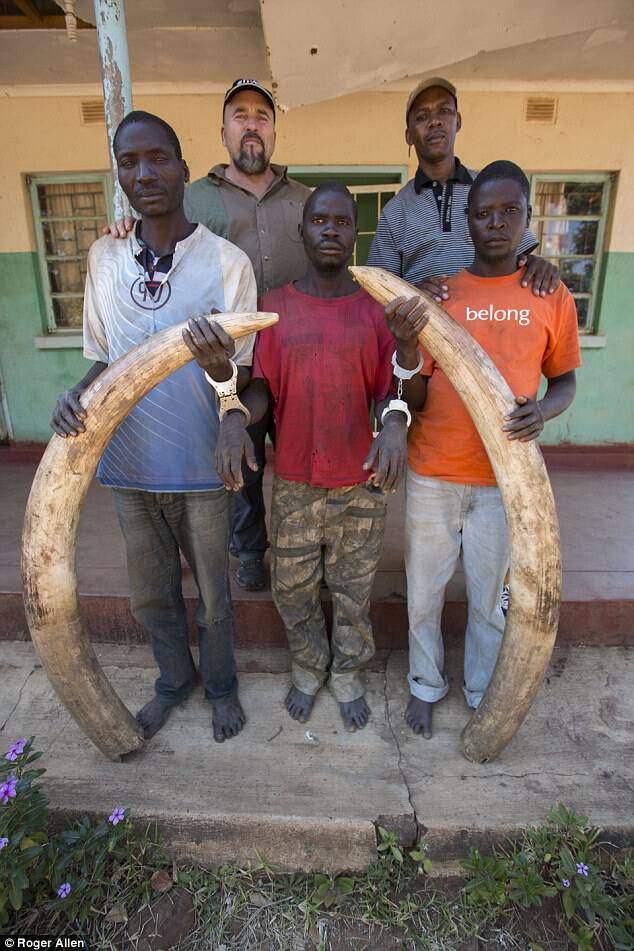 ngulube用他的步枪猎杀了一只大象,并无情地砍下了象牙,正在驾车逃离