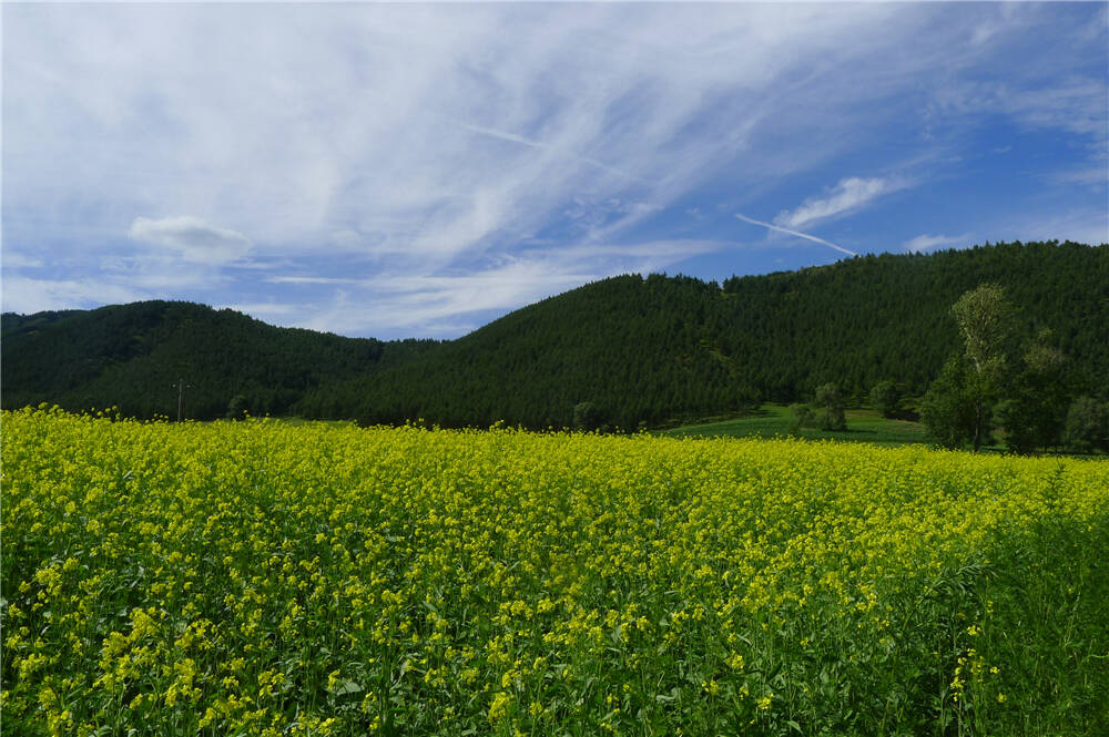 内蒙古赤峰美林谷