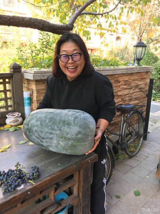 照片中,她种的冬瓜大到抱不动,杜海涛妈妈笑容满面,看起来心情超级好