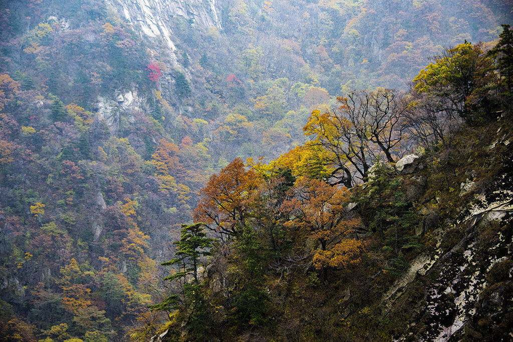 "层林尽染多彩尧山"——优秀摄影作品赏析(二)