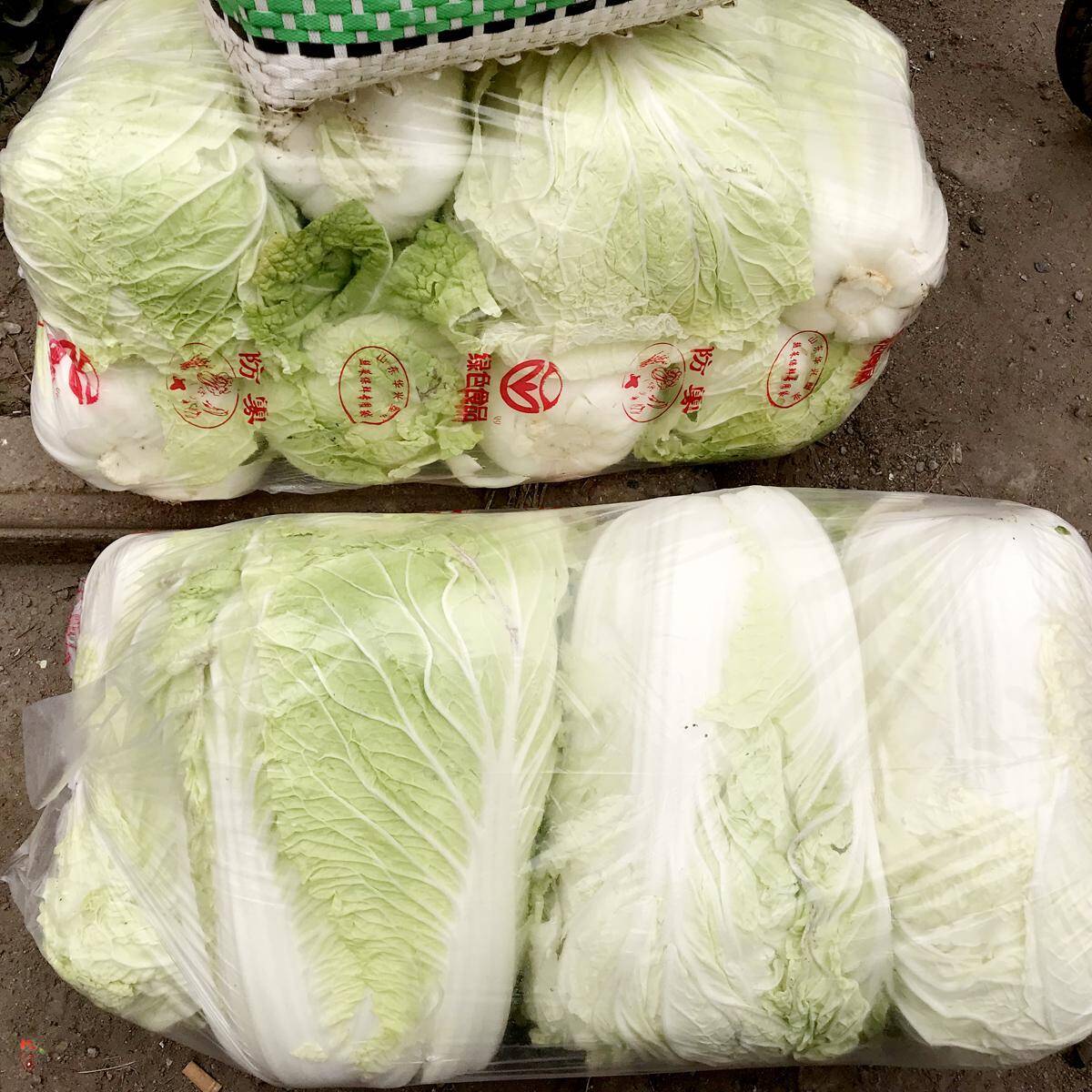 大白菜1元4斤遭哄抢,万斤1小时卖光,大妈:比1元5斤的便宜