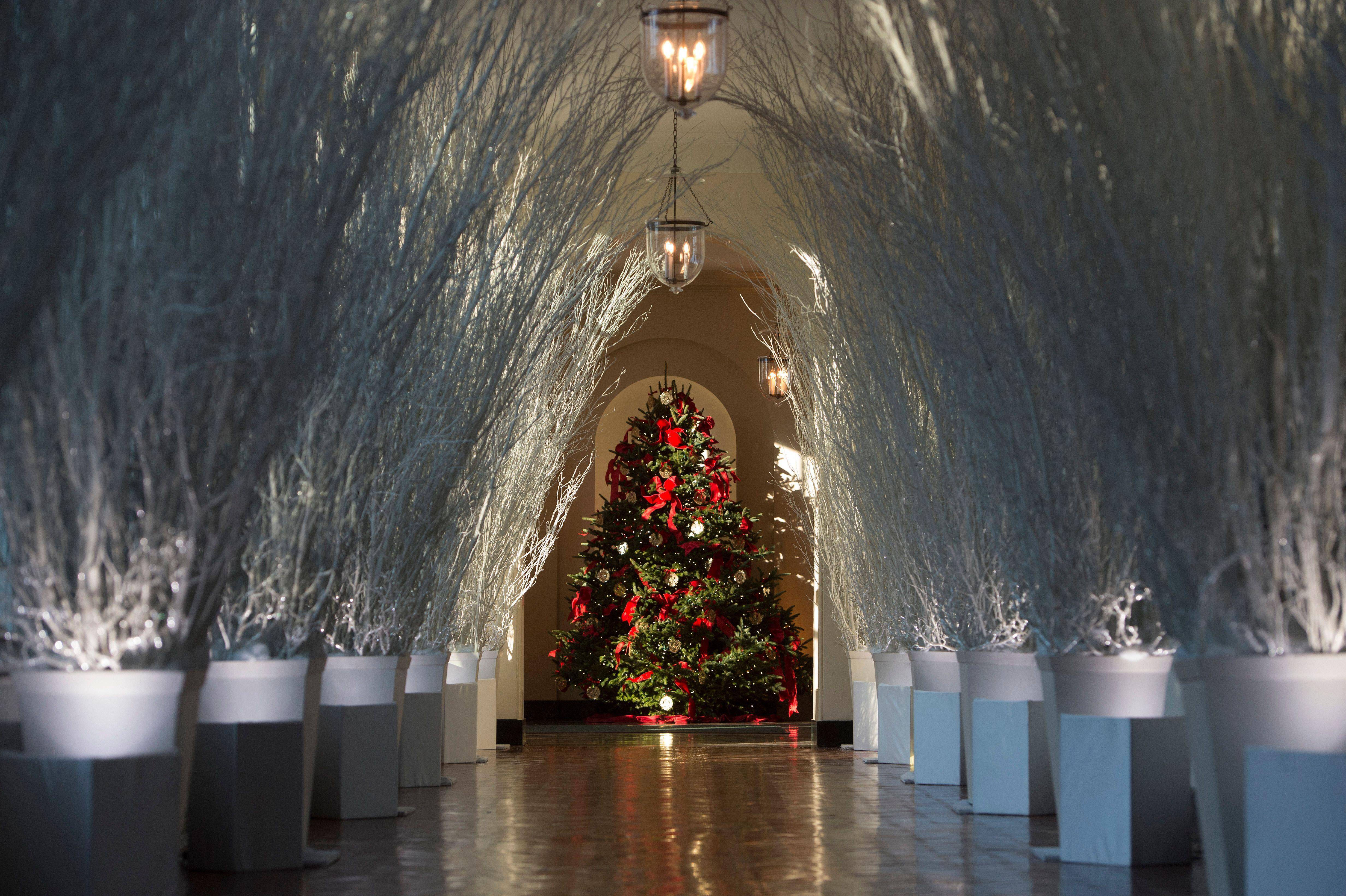 梅拉尼娅"天使"降临 圣诞节白宫宛如童话世界