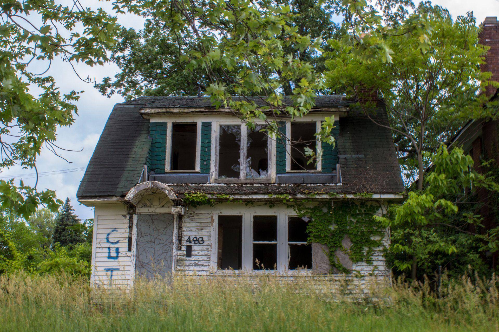 1/10 据9news报道,在美国底特律,数十栋破旧的老式别墅成了当地一道