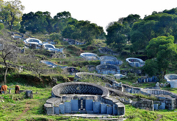 大片豪华活人墓偷偷建在密林深处