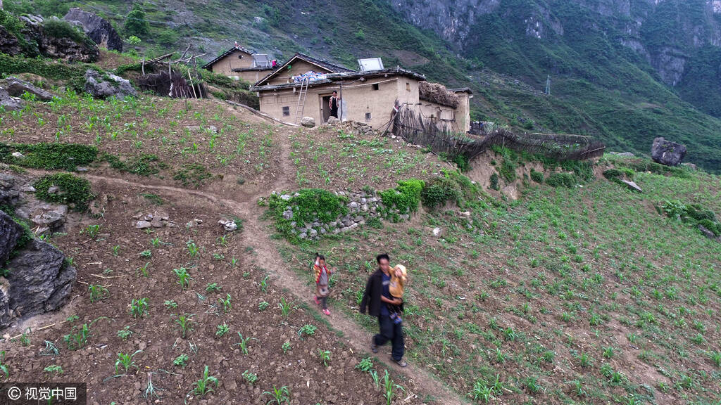 四川悬崖村:孩子上学爬藤梯 多名村民摔死