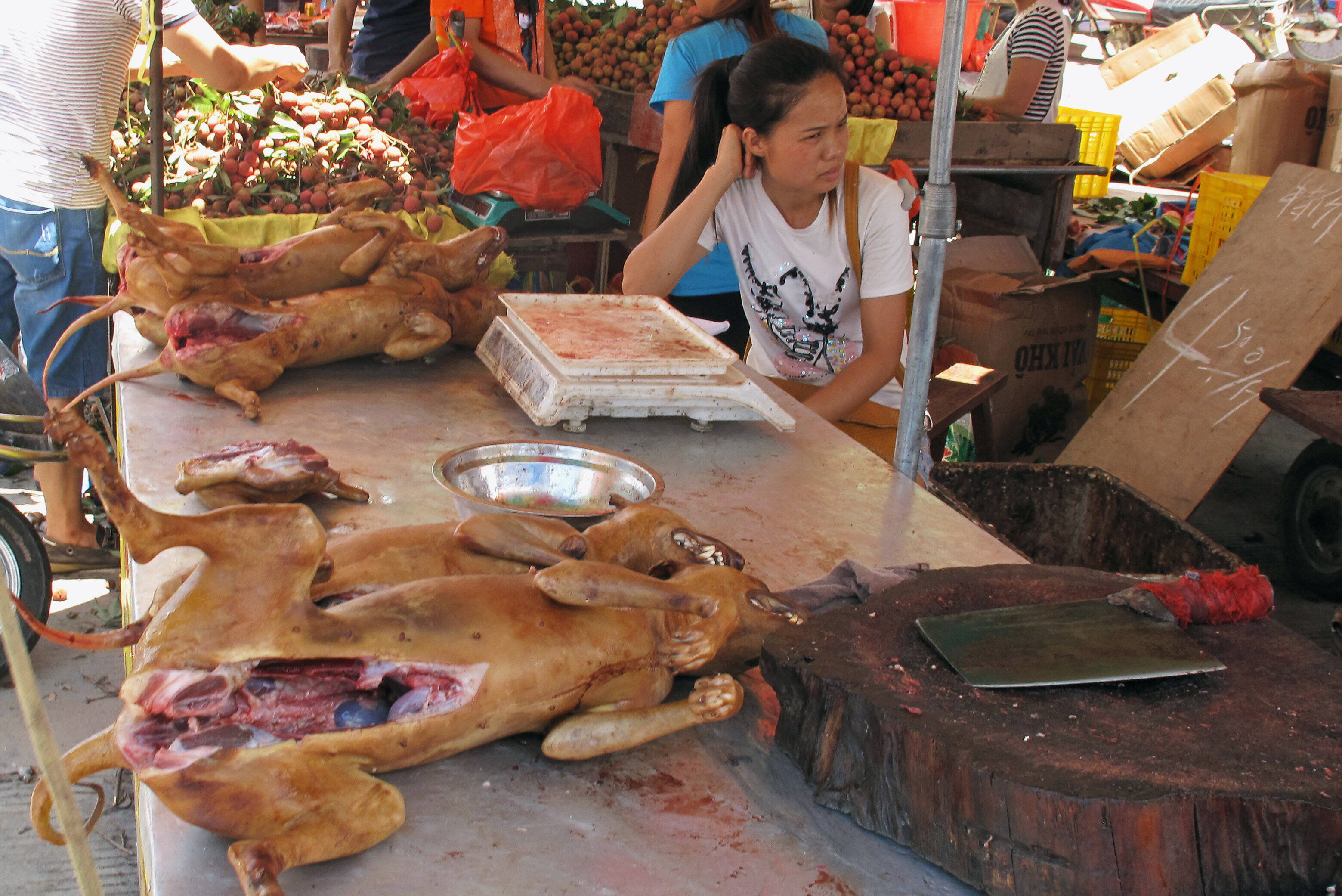 五香狗肉摄影图__传统美食_餐饮美食_摄影图库_昵图网nipic.com