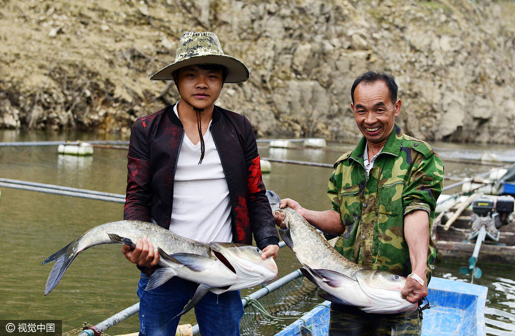 贵州渔民归航鱼满舱画面