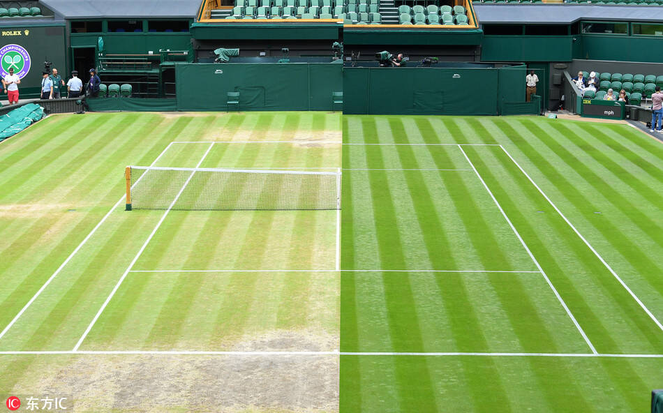 温网大幕落下 中央球场草地惨不忍睹