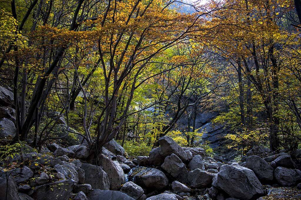 "层林尽染多彩尧山"——优秀摄影作品赏析(二)