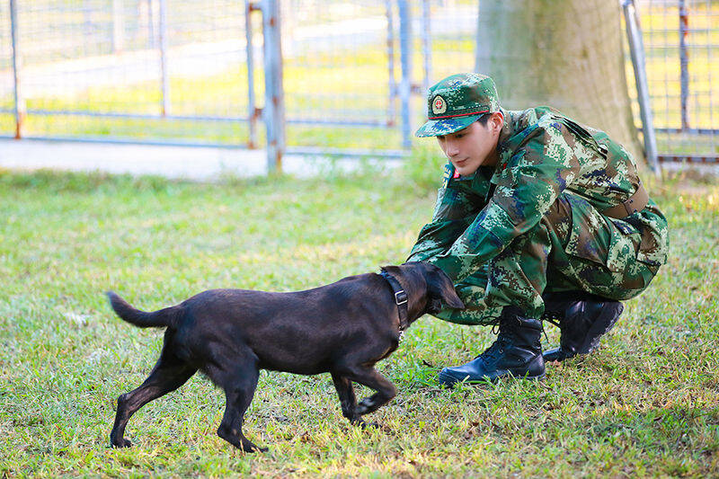 《奇兵神犬》眾星與警犬親密接觸 楊爍興奮張馨予焦灼