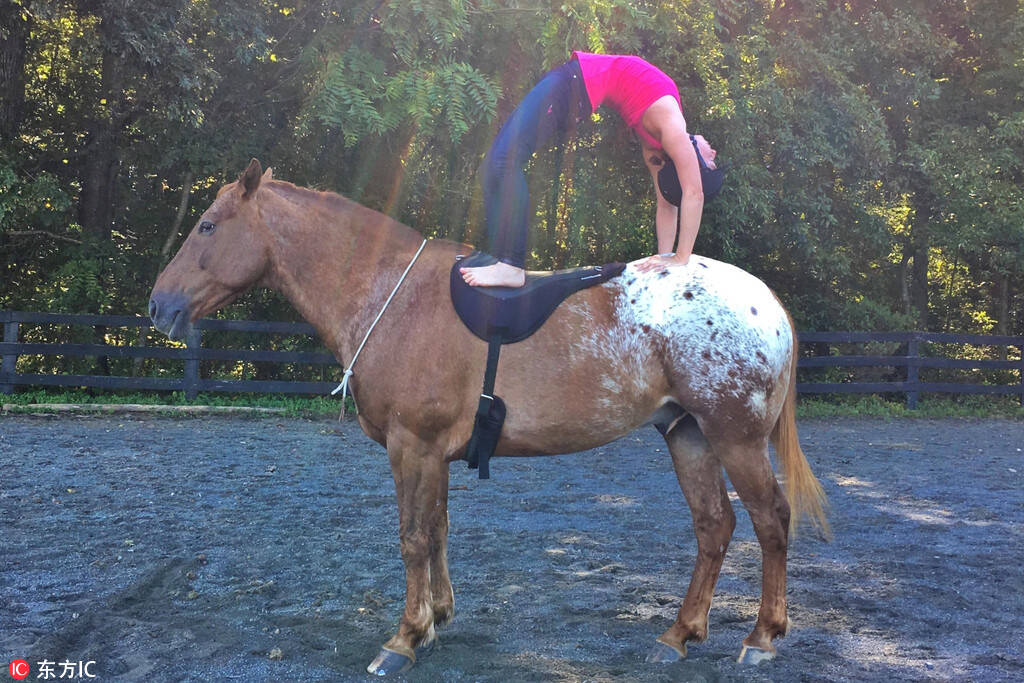 美国姑娘演示马术瑜伽 人马合一挑战极佳平衡力