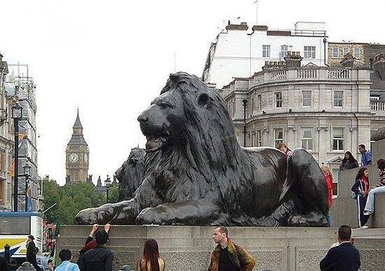 世界上最大的狮子,巴巴里狮全长可达3.6米!(图)