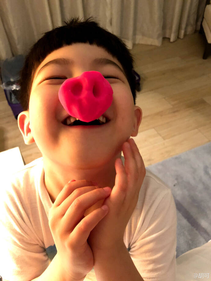 1/6 12月27日,胡可在微博上晒出大儿子自制猪鼻子的照片,并且配文称:"