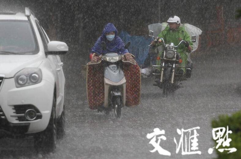 南京暴雨倾盆 行人车辆雨中艰难前行（组图）_手机凤凰网