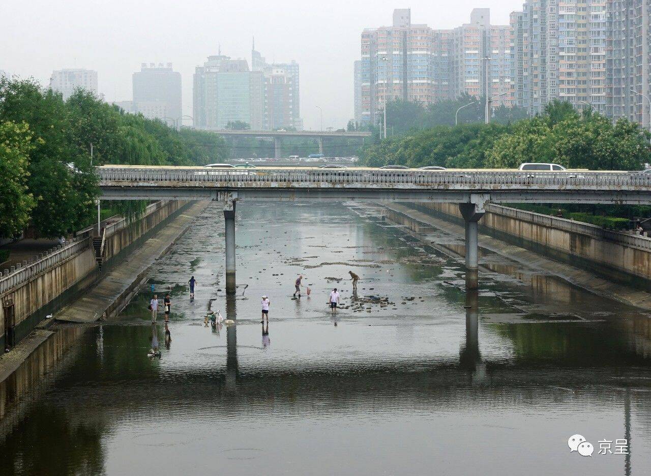 北京で今年一番の大雨 2人死亡 台風上陸の福建省では145万人超被災 | TBS NEWS DIG