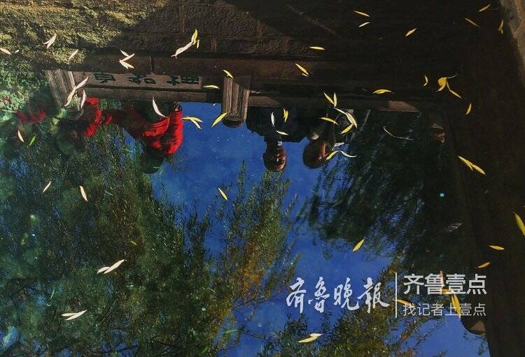 落叶随风飘入泉池,景区工人捞叶忙_手机凤凰网