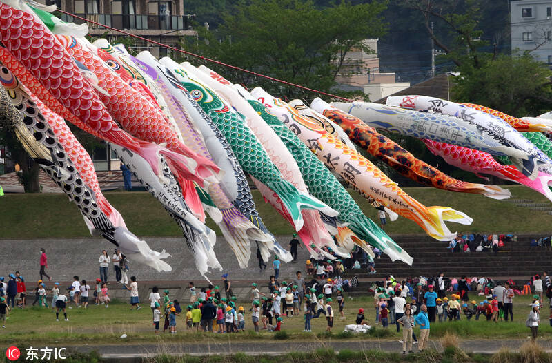 日本1200条鲤鱼旗"空游"相模川