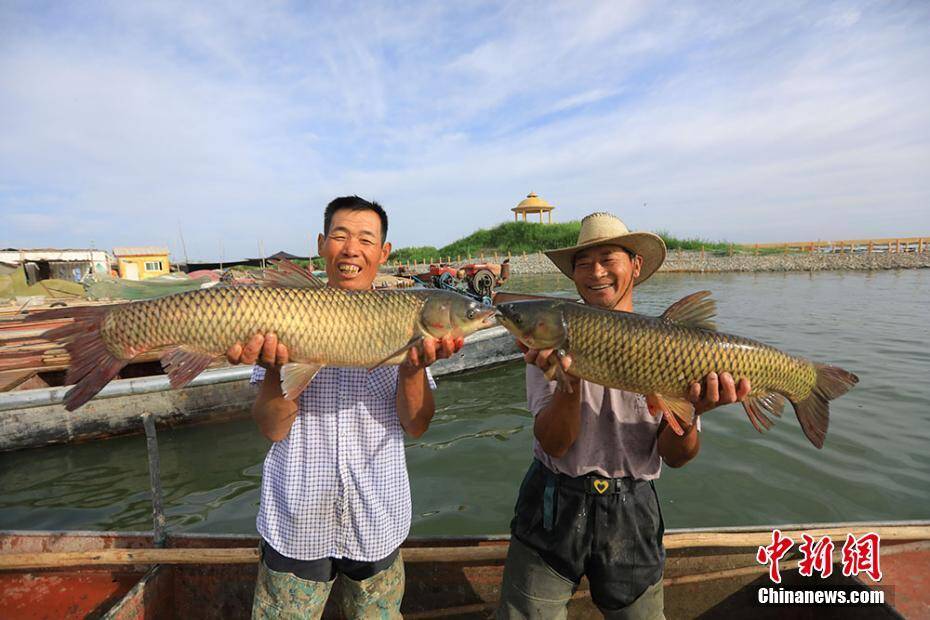 乌鲁木齐观赏鱼批发市场在哪
