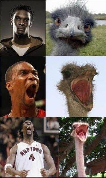 信息量好大!nba球星最想销毁的照片