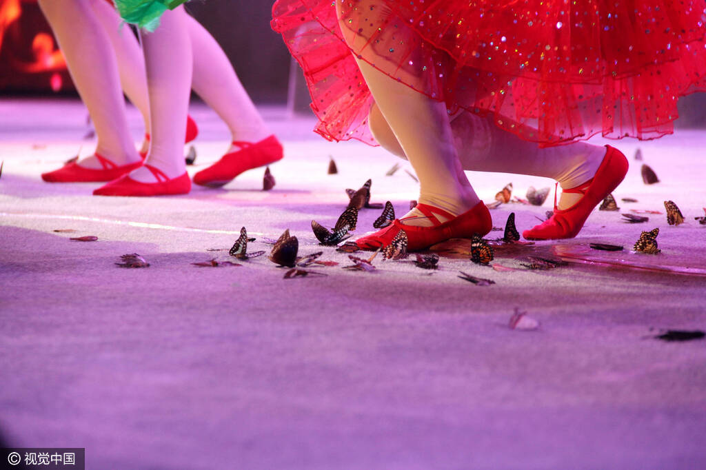 大衣哥演出遭女歌手熊抱 现场百只蝴蝶被踩死