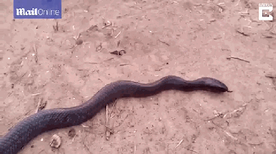 400_224gif 动态图 动图