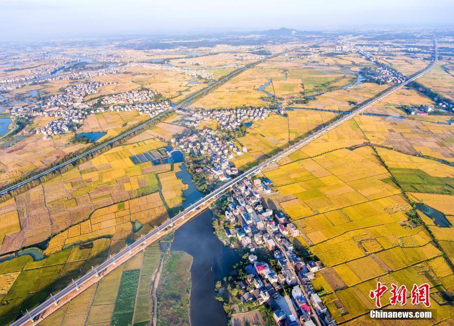 航拍即将通车的九景衢铁路 穿越金黄田野