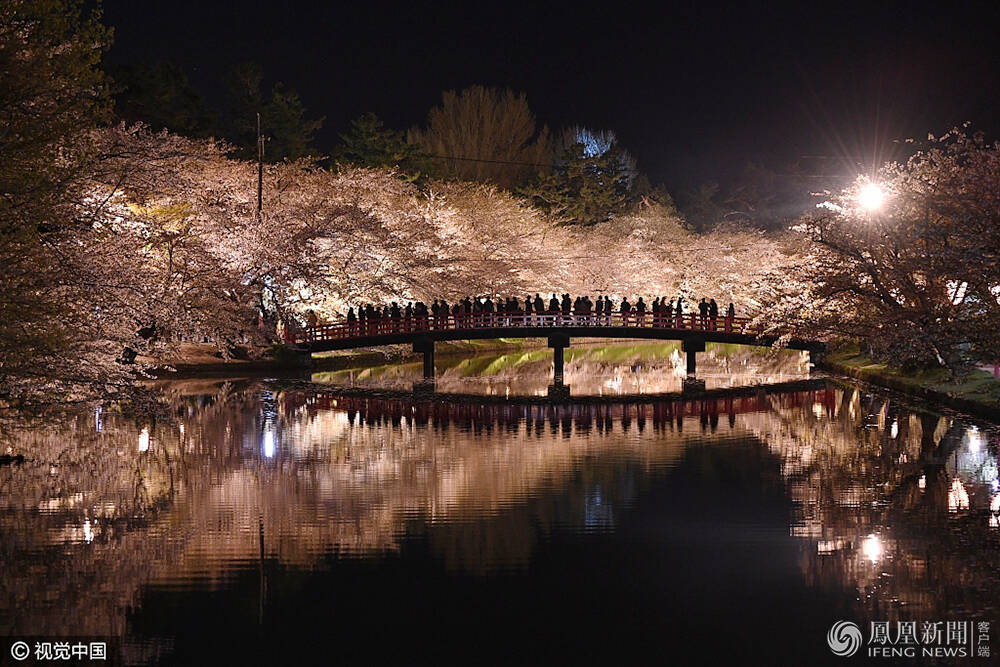 夜间赏樱 日本弘前城堡公园樱花盛放_手机凤凰网