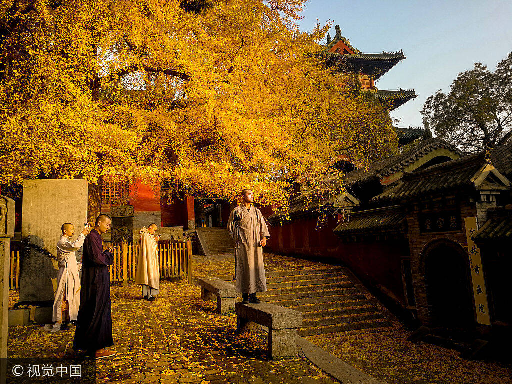 嵩山少林寺释延淀图片