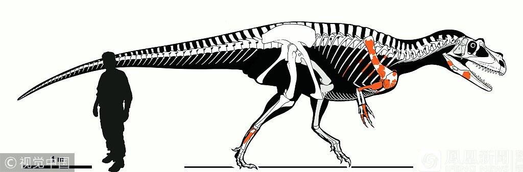1/6 12月26日报道,古生物学家发现了已知最古老的角鼻龙saltrio