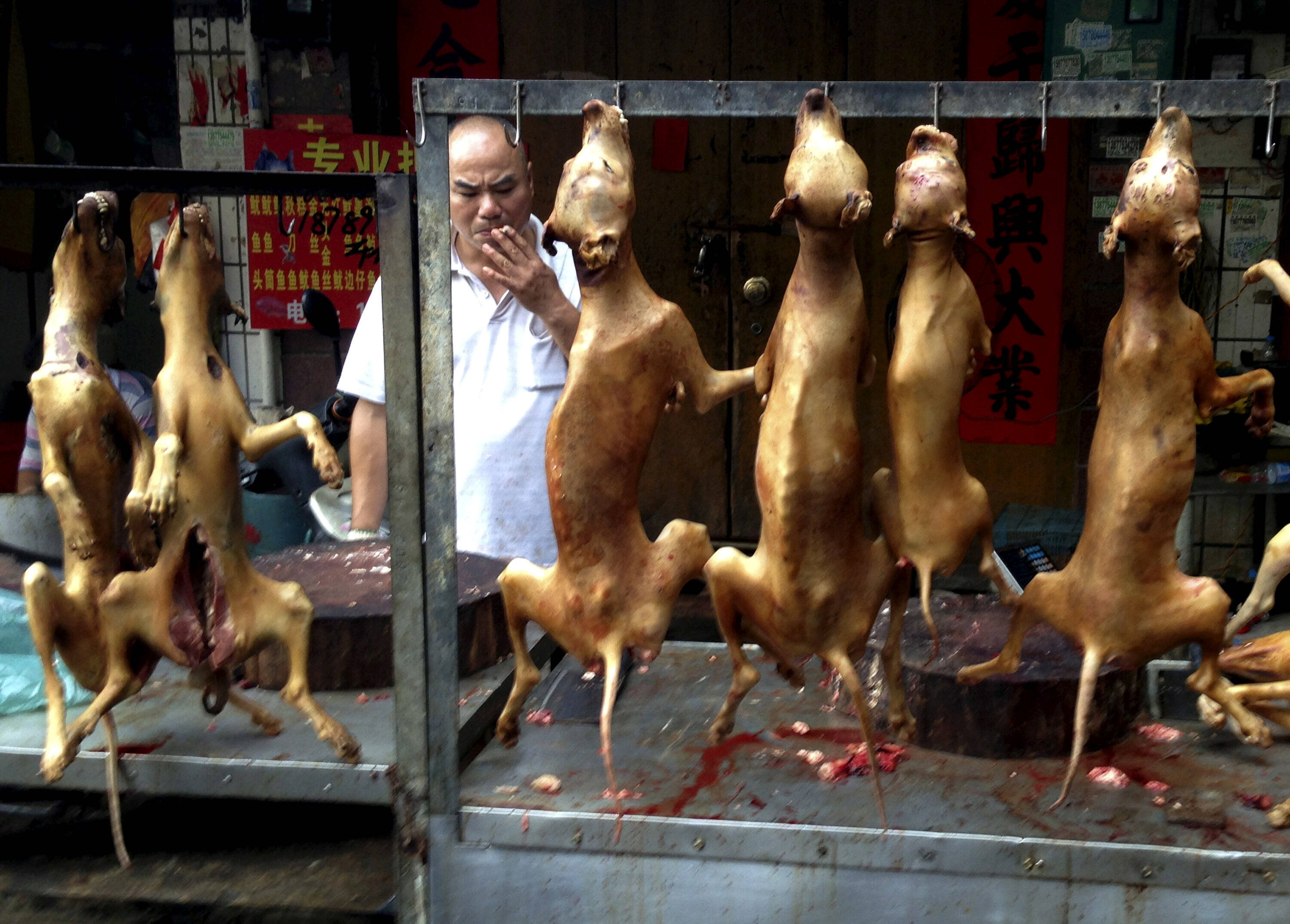 玉林狗肉节:一场杀狗与救狗的角力